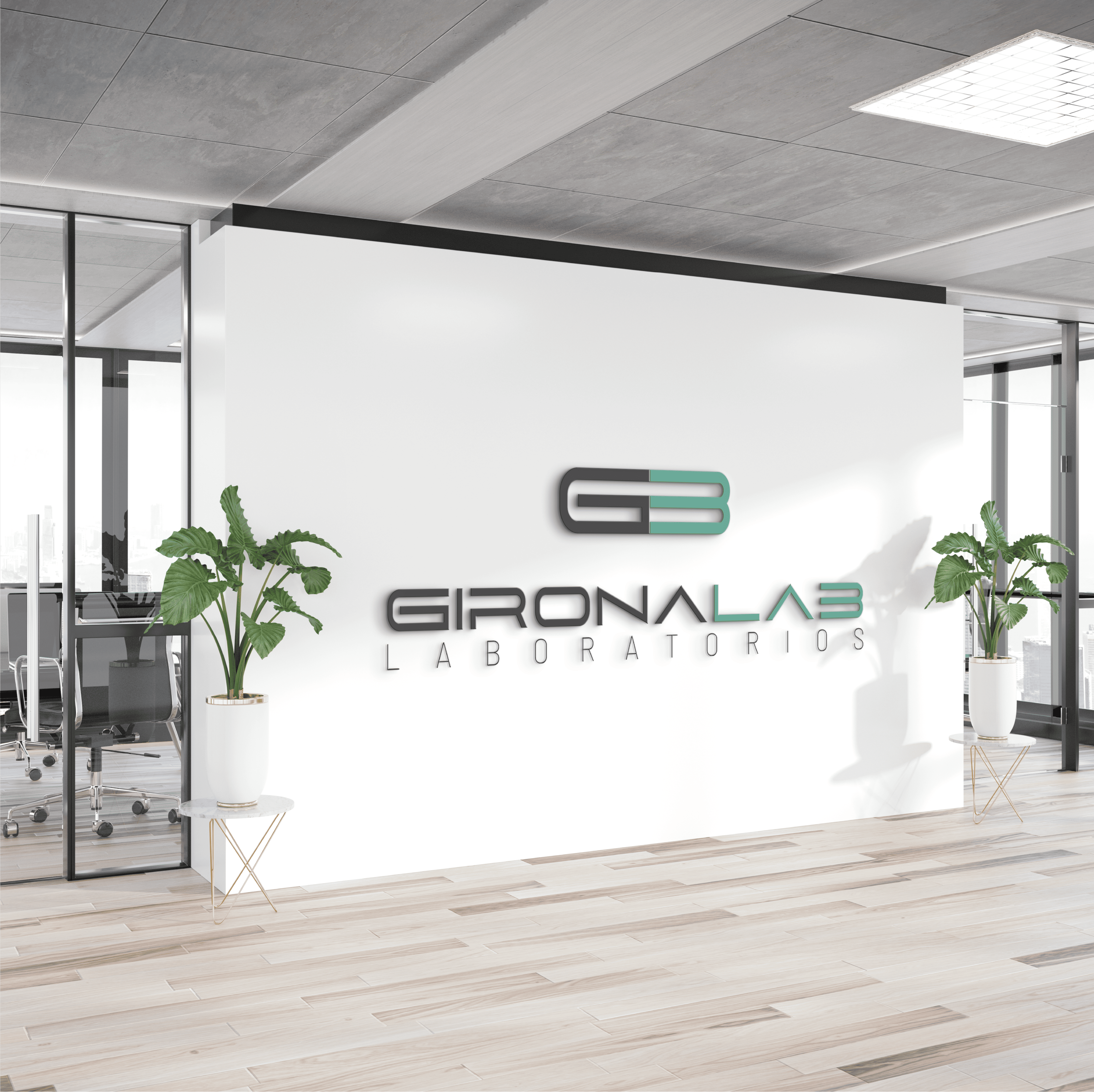 lab_girona lab_girona